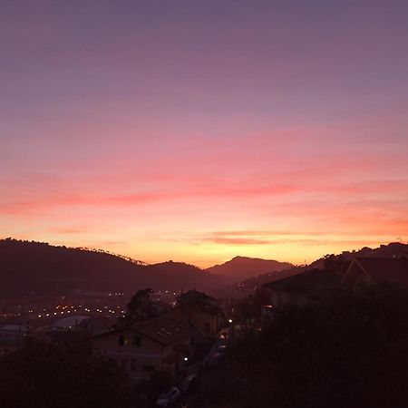 Il Glicine Cozy Appartamnent, Near Sestri Levante Between Cinque Terre E Portofino Casarza Ligure Exteriér fotografie