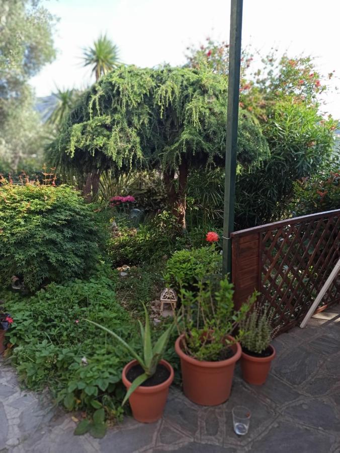 Il Glicine Cozy Appartamnent, Near Sestri Levante Between Cinque Terre E Portofino Casarza Ligure Exteriér fotografie