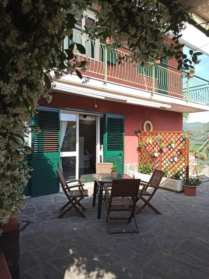 Il Glicine Cozy Appartamnent, Near Sestri Levante Between Cinque Terre E Portofino Casarza Ligure Exteriér fotografie