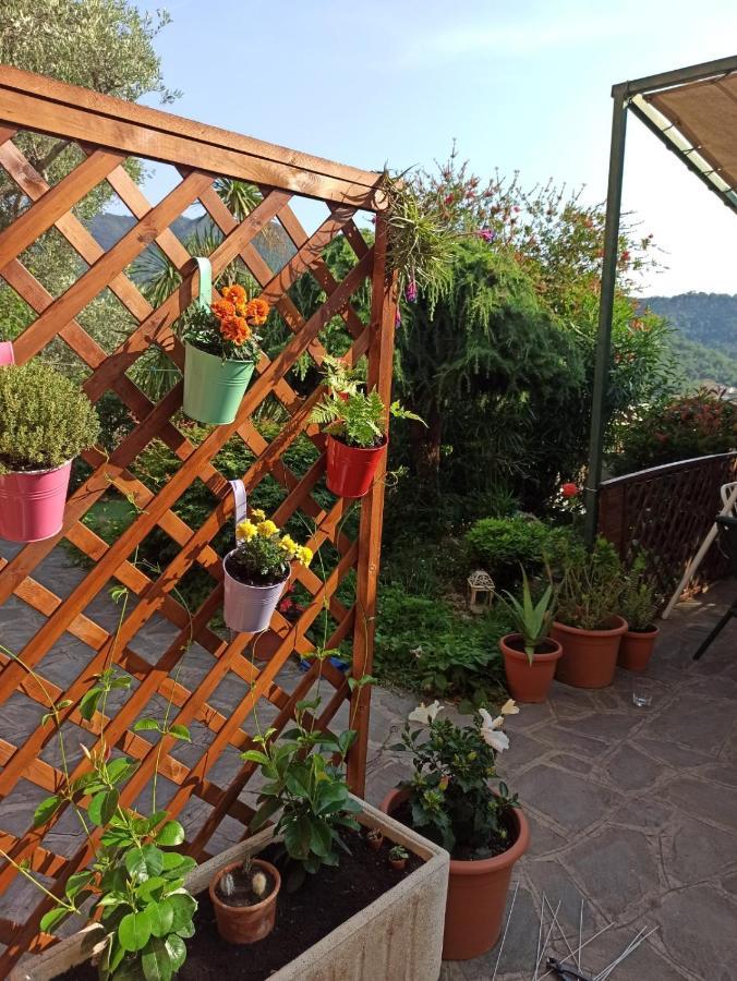 Il Glicine Cozy Appartamnent, Near Sestri Levante Between Cinque Terre E Portofino Casarza Ligure Exteriér fotografie